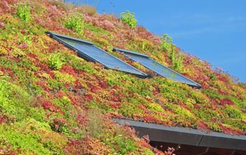 Kelton living roof systems